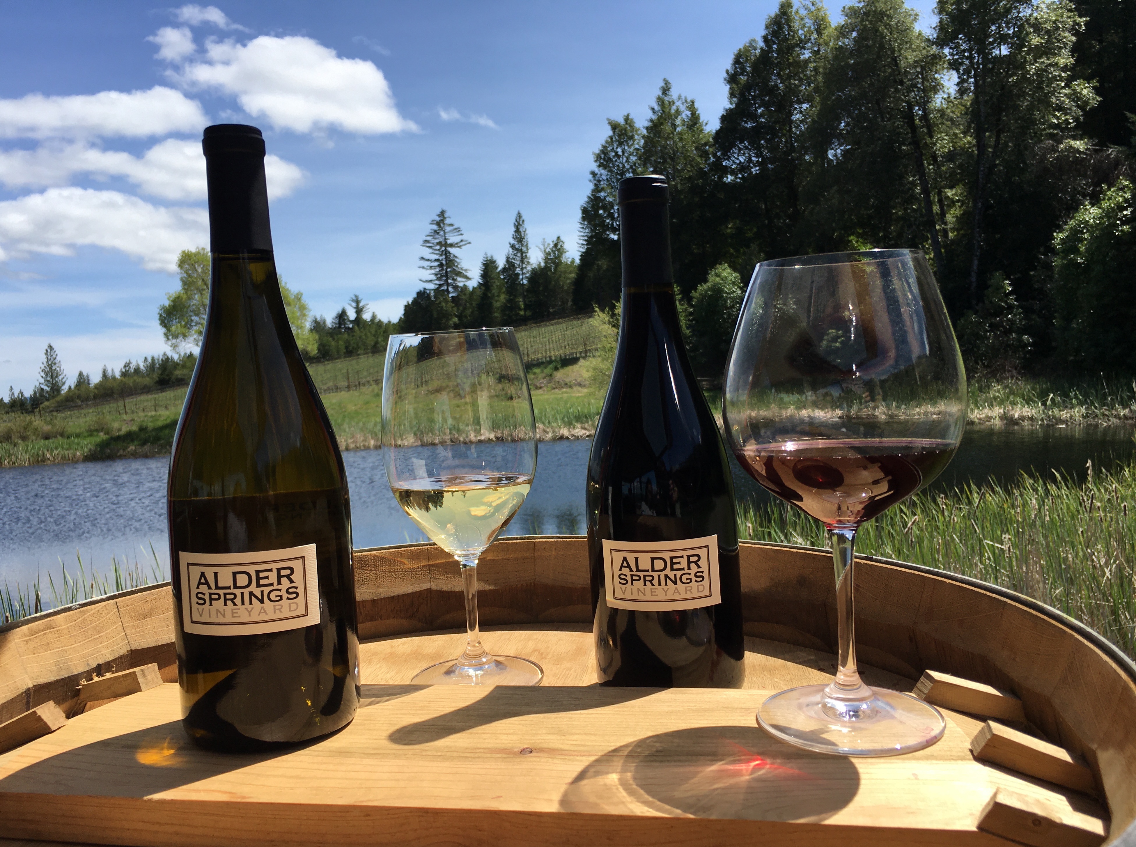 Alder Springs Vineyard “A Case for a Cause” Program Extended